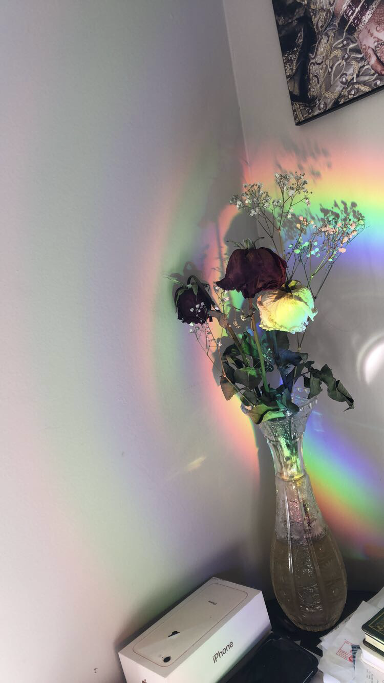 this is a picture of flowers and rainbow